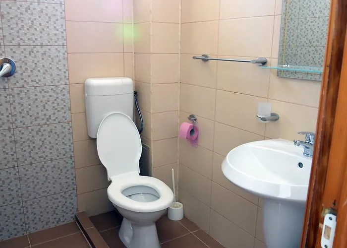 Гостевой дом Casa Omer